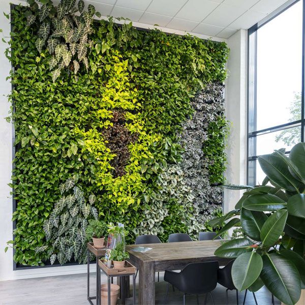 دیوار سبز |‌ گرین وال | طراحی دیوار سبز | پلنت پلاس